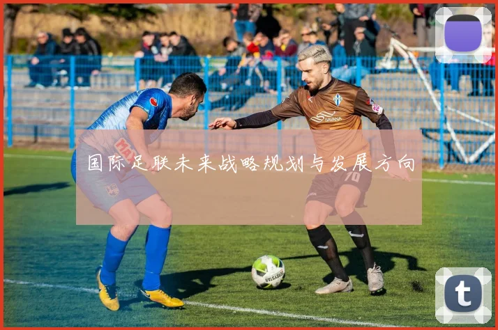 国际足联未来战略规划与发展方向