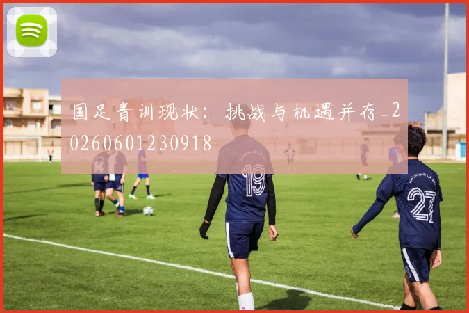 国足青训现状:挑战与机遇并存_20260601230918